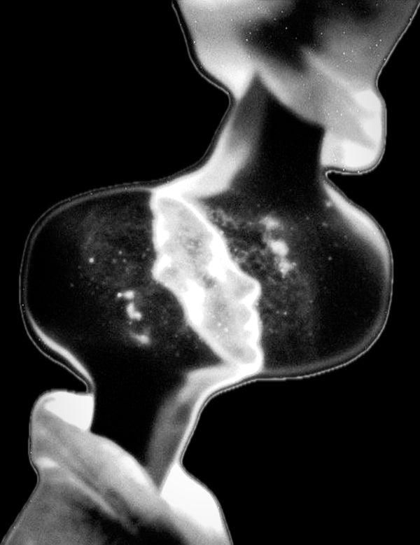 Creative Soul π€π¦